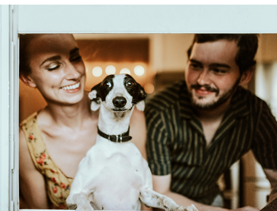 Billede af hund og par